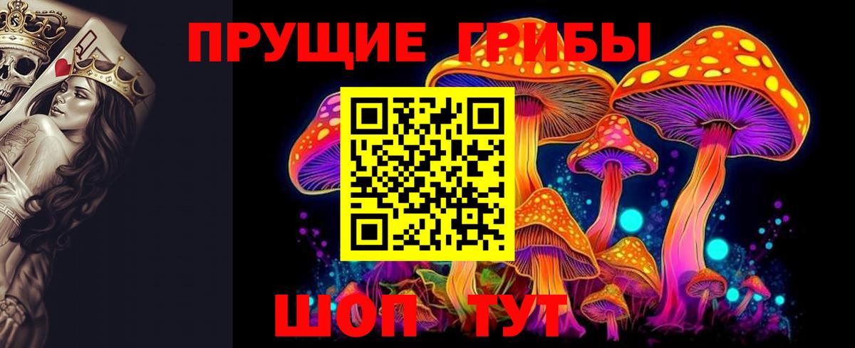 Кызыл  наркошоп  Вход с VPN  Галлюциногенные грибы Psilocybe 