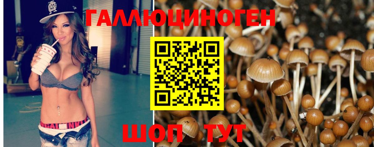 Галлюциногенные грибы MAGIC MUSHROOMS Кызыл